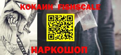 мет Кингисепп