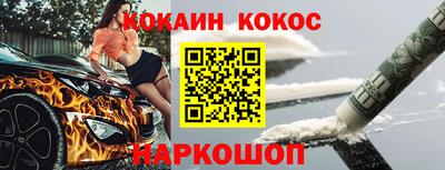 мет Кингисепп