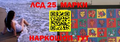 мет Кингисепп