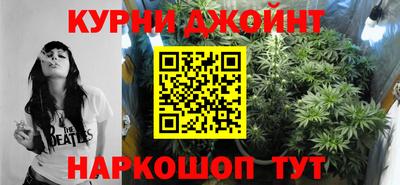 мет Кингисепп