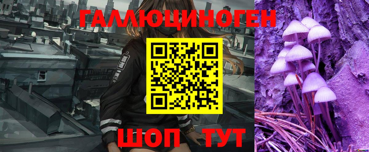 купить  сайты  Галлюциногенные грибы Magic Shrooms  Кудымкар  Вход с VPN  Галлюциногенные грибы GOLDEN TEACHER 